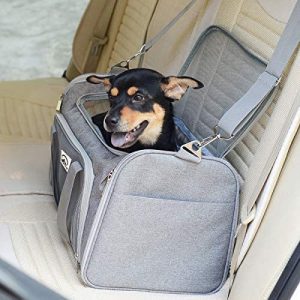 Travel & Carriers