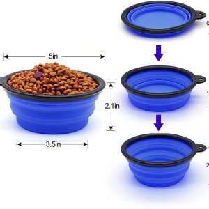 Bowls & Feeding